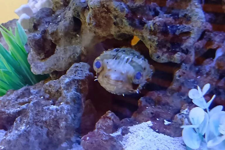 お気に入りの場所①