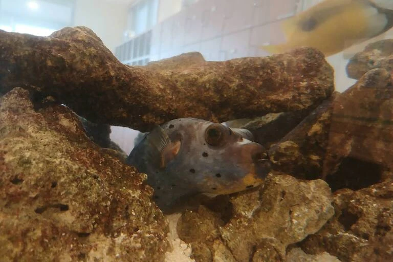 お気に入りの場所③