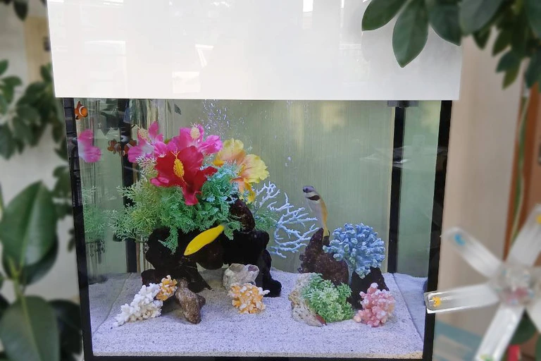 （加工済）LINE_ALBUM_みなみ調剤曽根店　写真_260827_15