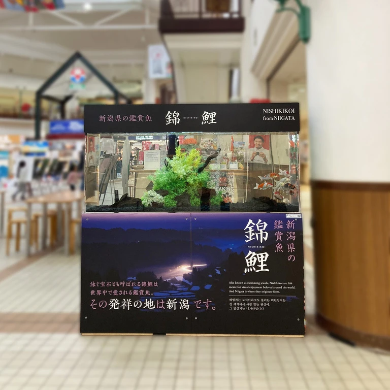 （加工済）LINE_ALBUM_ふるさと村 バザール館_230417_10
