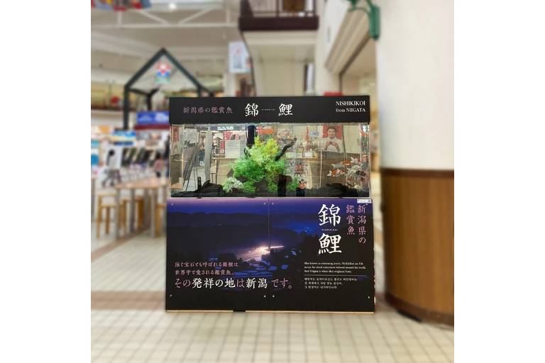 （加工済）LINE_ALBUM_ふるさと村 バザール館_230417_10