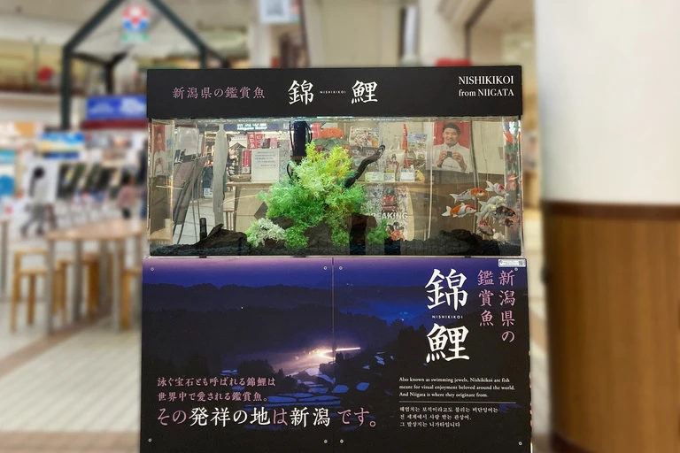 （加工済）LINE_ALBUM_ふるさと村 バザール館_230417_10