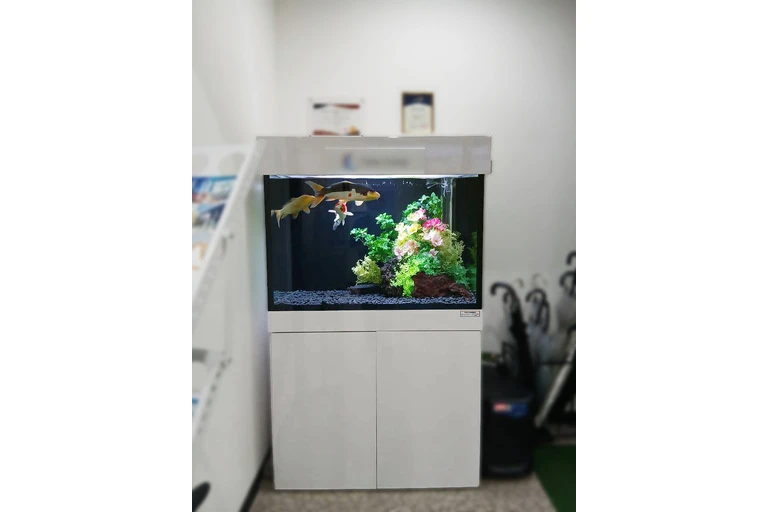 （加工済）LINE_ALBUM_新電力新潟　写真_260910_13