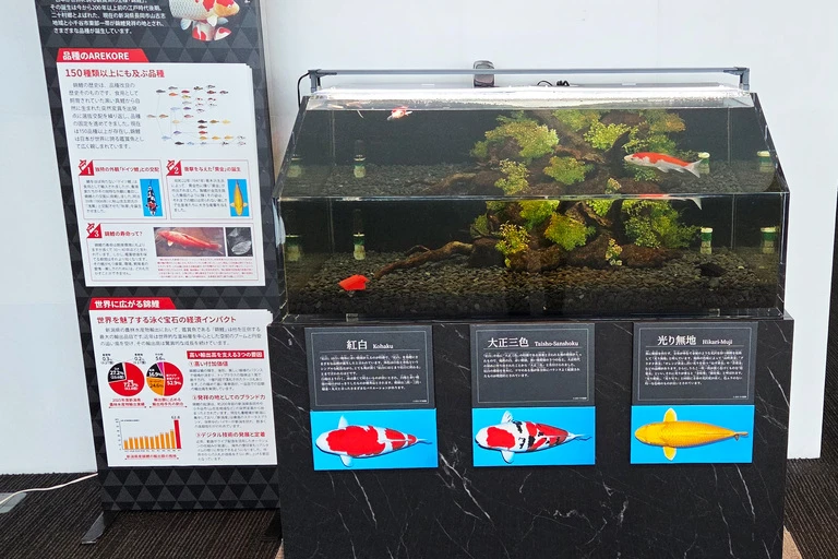 （加工済）20260924_131833