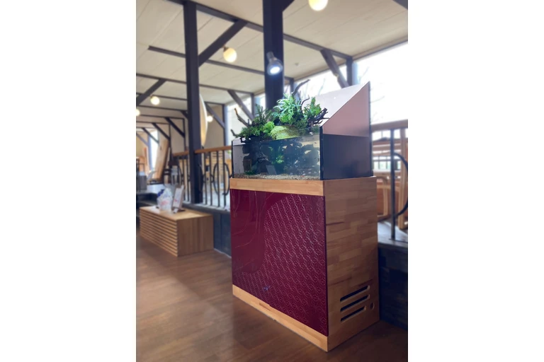 （加工済）LINE_ALBUM_加茂イシモク様_230418_10