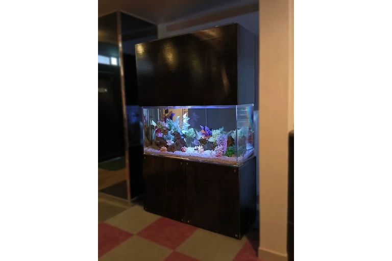 （加工済）LINE_ALBUM_さくらとうさぎ　写真_261022_17
