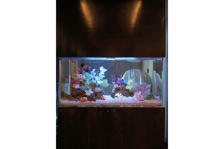 （加工済）LINE_ALBUM_さくらとうさぎ　写真_261022_5