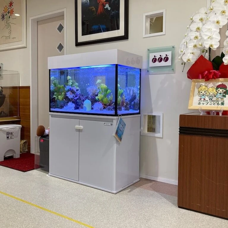 幼保連携型認定こども園　学校法人聖尚学園　ホップこども園様